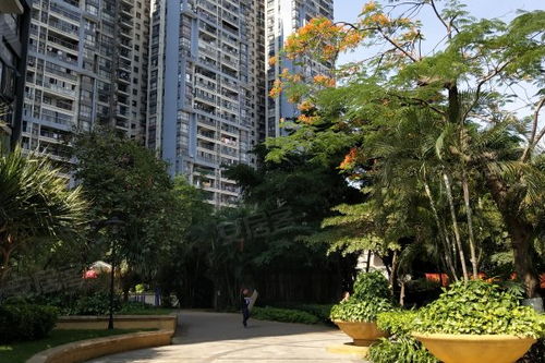 中惠新城居住體驗(yàn)及周邊中介評價(jià)分析